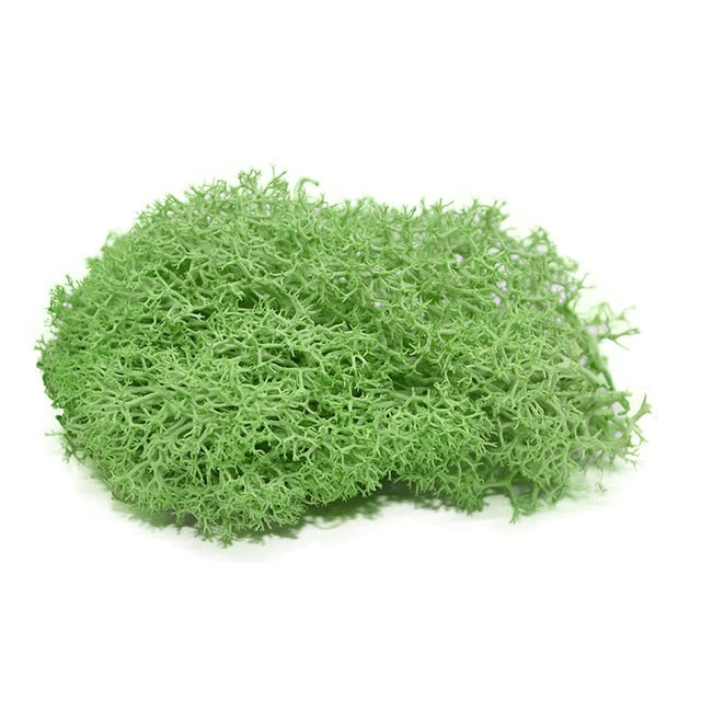 Artificial Plant Eternal Life Moss