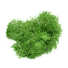 Artificial Plant Eternal Life Moss