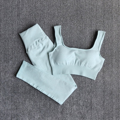 Seamless Fitness Yoga Suit