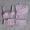 Seamless Fitness Yoga Suit