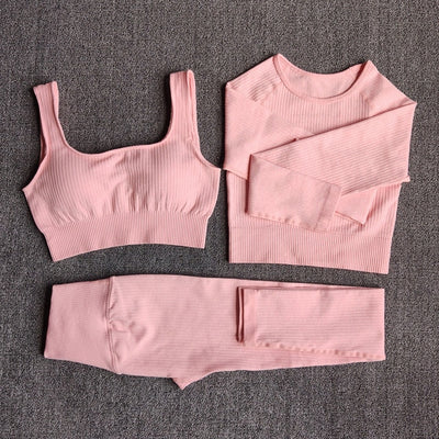 Seamless Fitness Yoga Suit