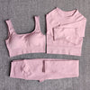 Seamless Fitness Yoga Suit