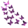 Butterfly Wall Sticker Decal