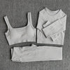 Seamless Fitness Yoga Suit